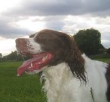 click for a larger view